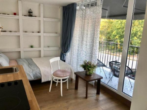 Smėlio namų studija, Palanga